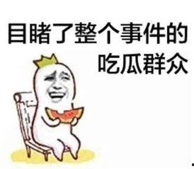 娱乐爆笑吃瓜视频合集下载,让你笑到肚子疼